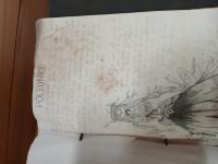 20250412_152144 (768x1024).jpg